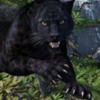 Wakanda
